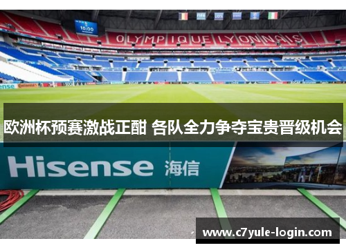欧洲杯预赛激战正酣 各队全力争夺宝贵晋级机会