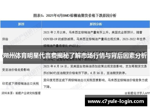 朔州体育明星代言费揭秘了解市场行情与背后因素分析
